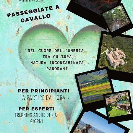 La Casa Di Mimi Foligno